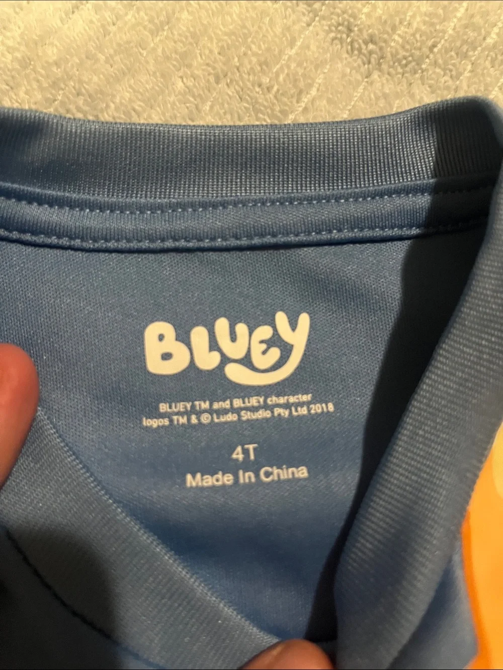 Bluey shirt shorts